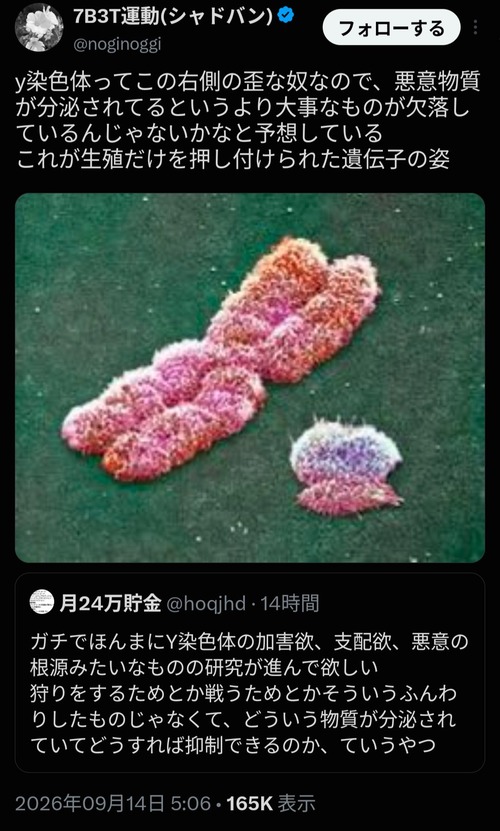 【悲報】Ｙ染色体、キモすぎて炎上するｗｗｗｗｗ
