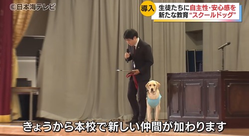 【画像】スクールドッグを導入した学校のJK、レベルが高すぎるｗｗｗｗ