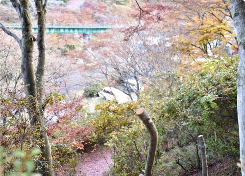 【悲報】鉄道写真を撮影に来た男性、勝手に木を伐採→町に謝罪ｗｗｗｗ