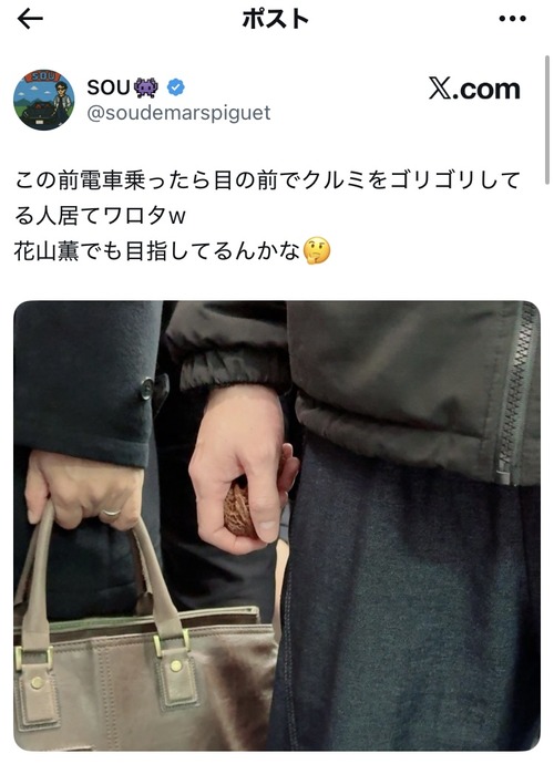 【画像】X民「電車乗ったら目の前でクルミをゴリゴリしてる人居てワロタw」