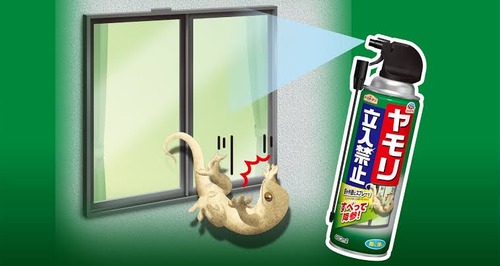 【悲報】ヤモリ、立入禁止になるｗｗｗｗ