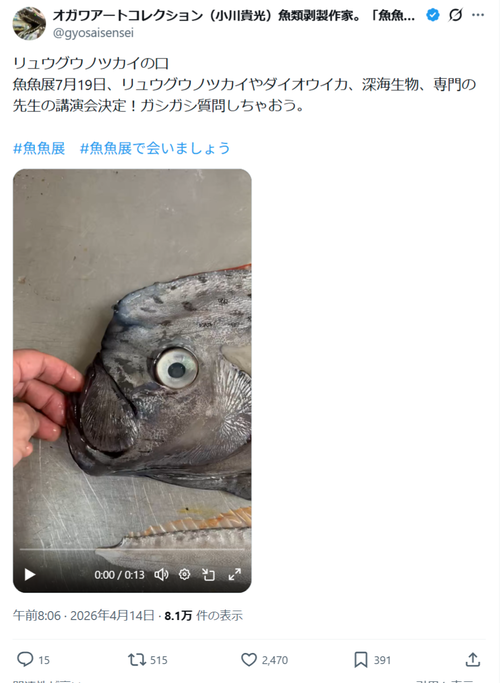 【衝撃映像】リュウグウノツカイ、見た目のモンスター感は異常ｗｗｗｗ