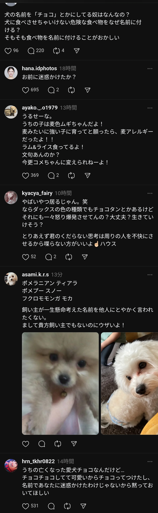 【悲報】ネット民「犬の名前にチョコとかつけるやつ頭おかしいw」→大炎上ｗｗｗｗ