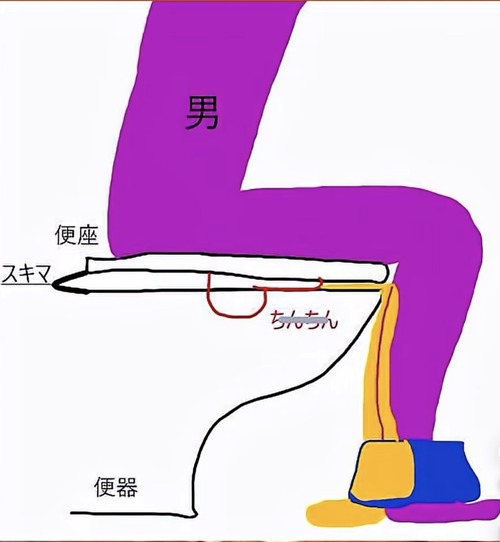 【画像】座りション、これがあるから怖いｗｗｗｗ