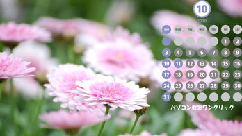 �컳ư��ʪ��