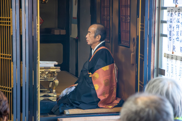 �³ڻ�������2025-22