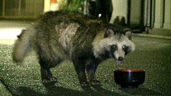 Æî¶è¸ÆÂ³¸µÄ®¤Î¥¿¥Ì¥