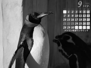 �ѥ����󶵼���2009ǯ9����������컳ưʪ��Υڥ󥮥�