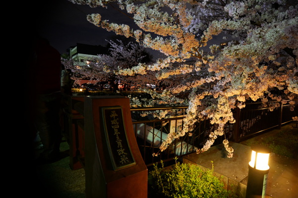 ���������2014