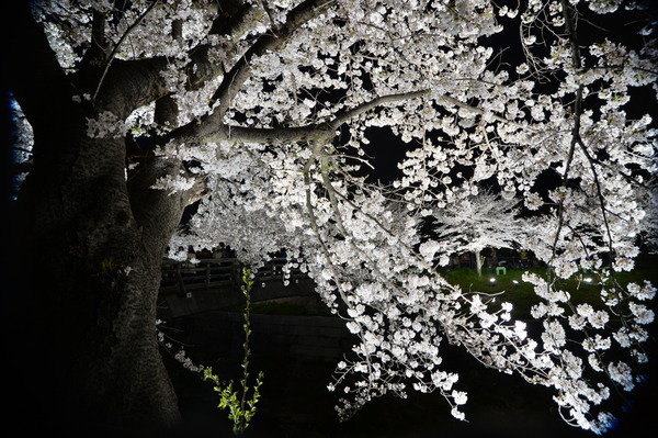 ���������2014