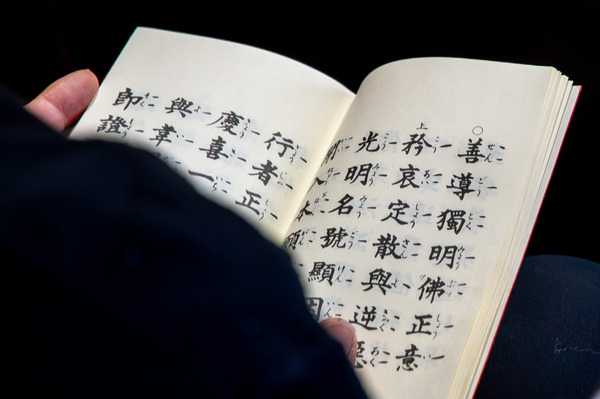 �³ڻ�������2025-25