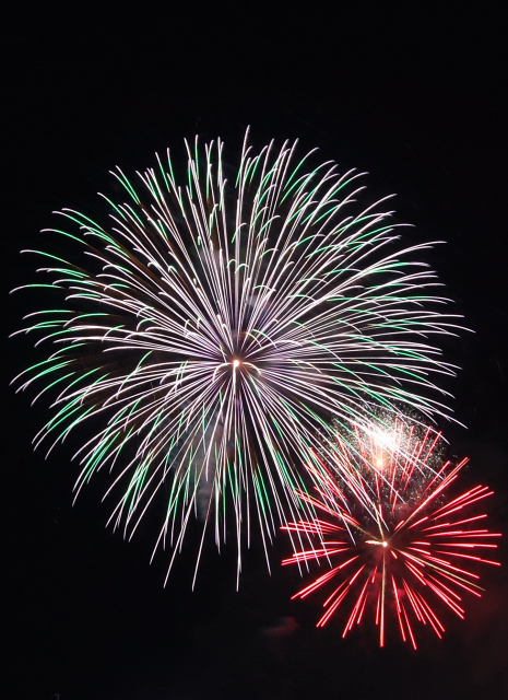 쳤Բֲ񣲣˥D40D40XD60