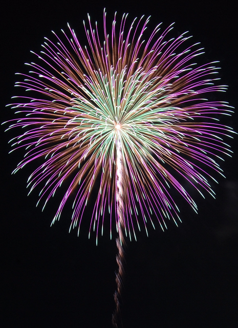 쳤Բֲ񣲣˥D40D40XD60