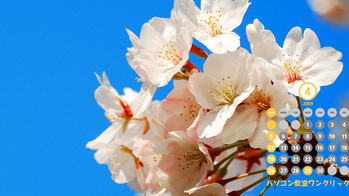 ̾�Ų��Կ����λ�����κ�