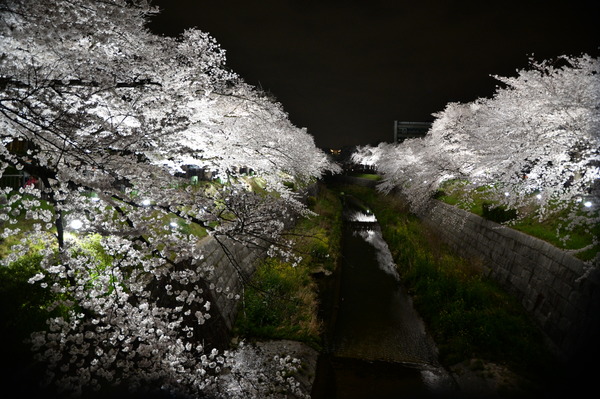 ���������2014