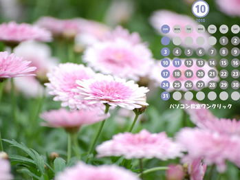 �컳ư��ʪ��