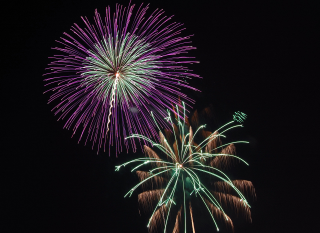 쳤Բֲ񣲣˥D40D40XD60