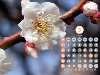 ��������ǯ���������