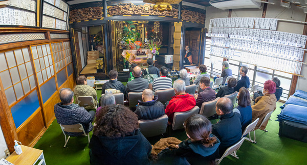 �³ڻ�������2025-01