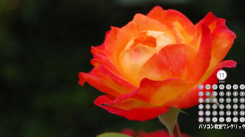 2009ǯ11�������