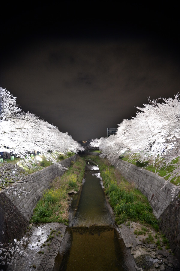 ���������2014