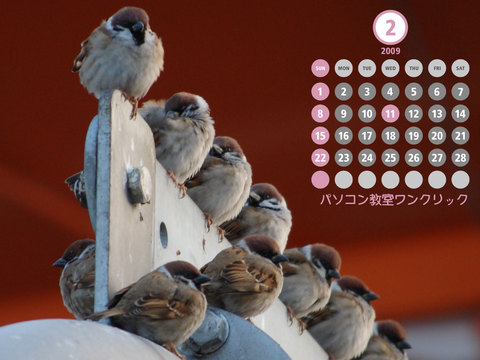 �ѥ����󶵼���󥯥�å���������ǯ��������