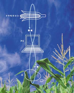 �ٻ��̥ȥ��������