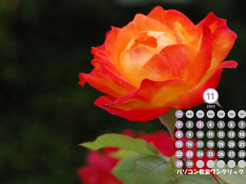 2009ǯ11�������