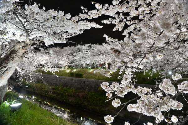 ���������2014