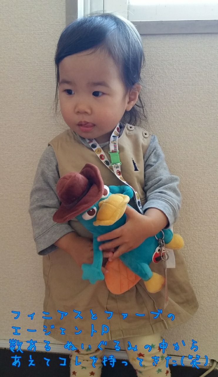 ぬいぐるみを持ち歩く わんこ ｵﾌｨｼｬﾙ ﾌﾞﾛｸﾞ