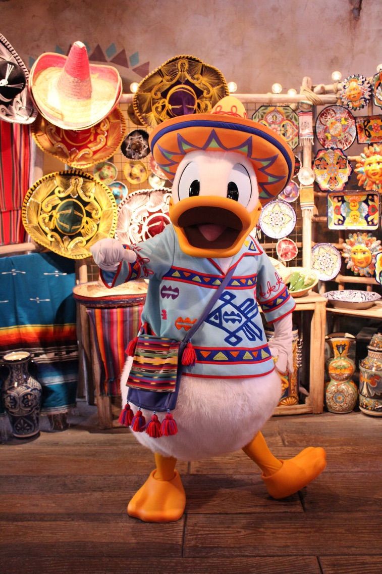 しごわディズニードナルド編 あひょブログ しごわディズニードナルド編 あひょブログ