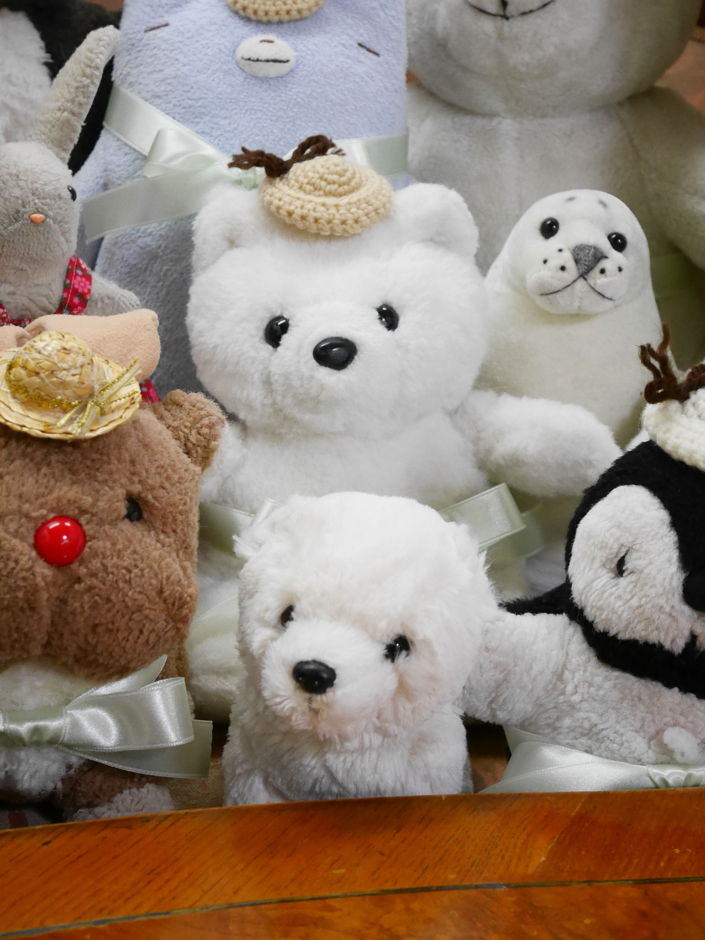 ぬいぐるみ病院 退院パーティー 妖精と仮想生活