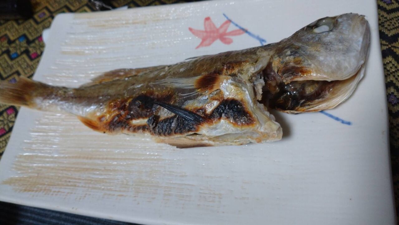 金沢八景でアジ釣り Ta3 Diary