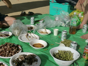 CIMG0095