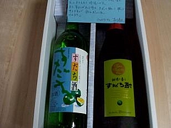 ビデカメ 81386