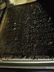 2010072915550000