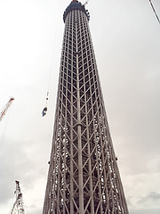 ビデカメ 81385