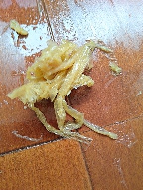 DSC_3364