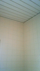 201004290944001