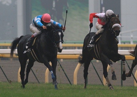 img_1603826_52741858_0