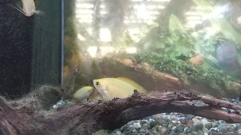 金ピカなお名前✨️