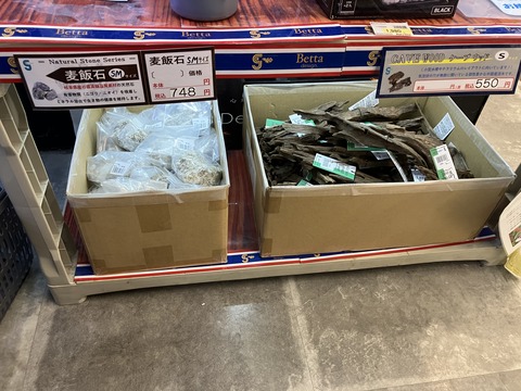 流木