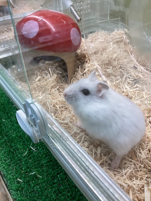 落ち着くの〜