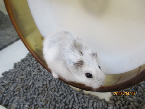 お店の子紹介！