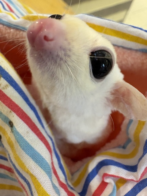 うるうるおめめ✨