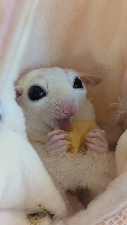もぐもぐタイム😋
