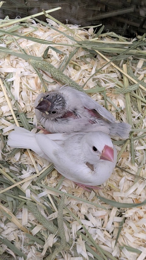 食欲が止まらねぇ！！