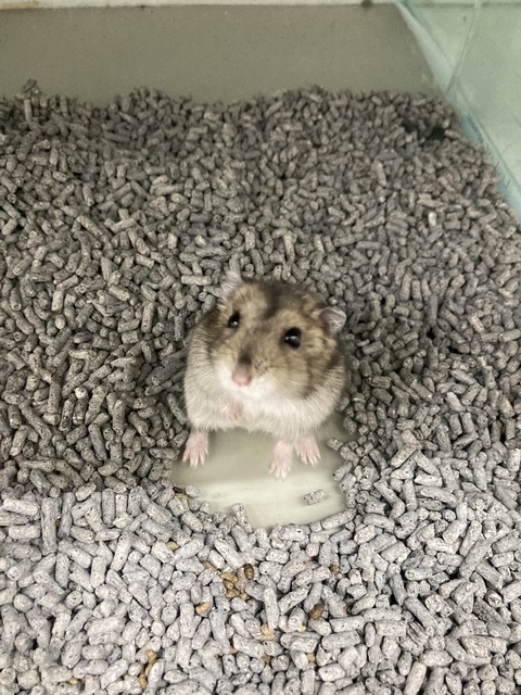 ぽつん