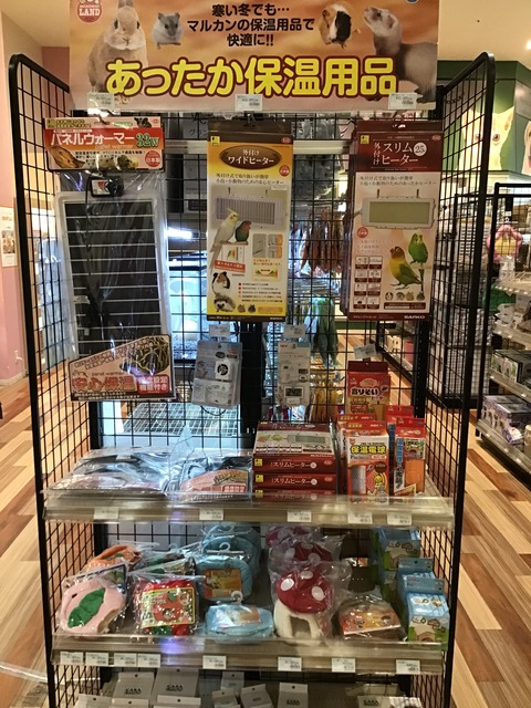 僕達寒がり❄︎