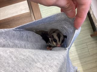 距離が縮まる*´ω｀)